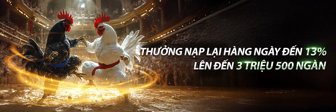 Đá gà trực tiếp hôm nay